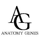 AG ANATOMY GENES