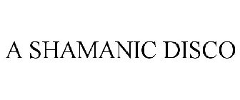 A SHAMANIC DISCO