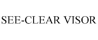 SEE-CLEAR VISOR