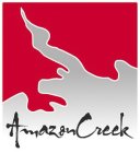 AMAZON CREEK