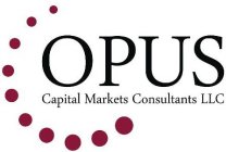 OPUS CAPITAL MARKETS CONSULTANTS LLC