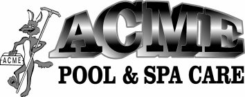 ACME ACME POOL & SPA CARE