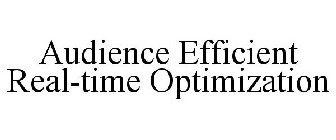 AUDIENCE EFFICIENT REAL-TIME OPTIMIZATION