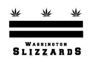 WASHINGTON SLIZZARDS