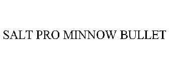 SALT PRO MINNOW BULLET