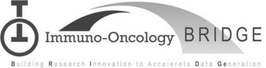 IO IMMUNO-ONCOLOGY BRIDGE BUILDING RESEARCH INNOVATION TO ACCELERATE DATA GENERATION