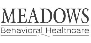 MEADOWS BEHAVIORAL HEALTHCARE