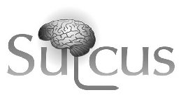 SULCUS