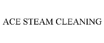 ACE STEAM CLEANING