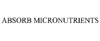 ABSORB MICRONUTRIENTS