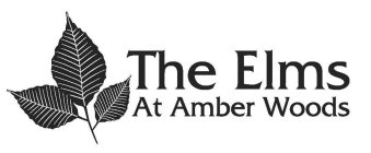 THE ELMS AT AMBER WOODS