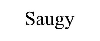 SAUGY