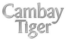 CAMBAY TIGER