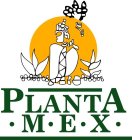 PLANTA MEX