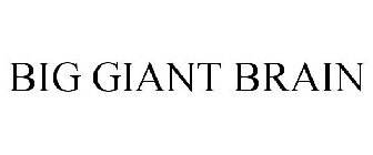 BIG GIANT BRAIN