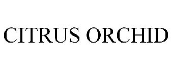 CITRUS ORCHID