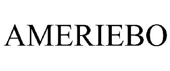 AMERIEBO