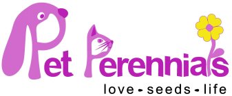 PET PERENNIALS LOVE - SEEDS - LIFE