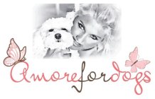 AMORE FOR DOGS