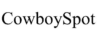COWBOYSPOT