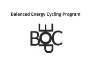BALANCED ENERGY CYCLING PROGRAM BECP