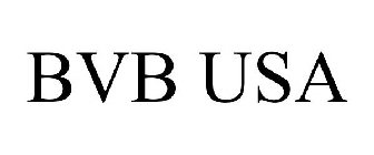 BVB USA