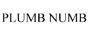 PLUMB NUMB