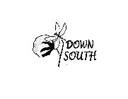 DOWN SOUTH