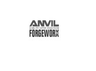 ANVIL GLOBAL PIPE SUPPORT DESIGN SYSTEM FORGEWORX PRO