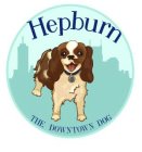 HEPBURN THE DOWNTOWN DOG