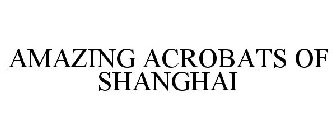 AMAZING ACROBATS OF SHANGHAI