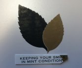 KEEPING YOUR SMILE IN MINT CONDITION