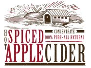 HOT SPICED APPLE CIDER CONCENTRATE 100%PURE·ALL NATURAL