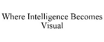 WHERE INTELLIGENCE BECOMES VISUAL