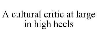 A CULTURAL CRITIC AT LARGE IN HIGH HEELS