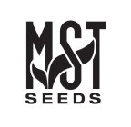 MST SEEDS