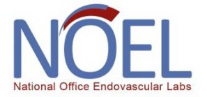 NOEL NATIONAL OFFICE ENDOVASCULAR LABS