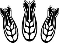 Image Trademark