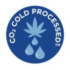 CO2 COLD PROCESSED