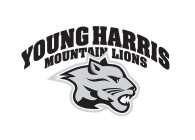 YOUNG HARRIS MOUNTAIN LIONS