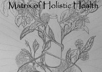 MATRIX OF HOLISTIC HEALTH