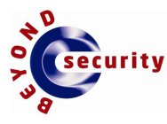 BEYOND SECURITY