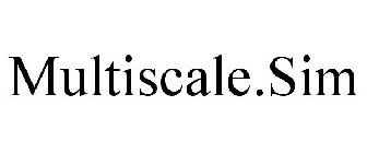 MULTISCALE.SIM