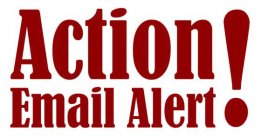 ACTION EMAIL ALERT!