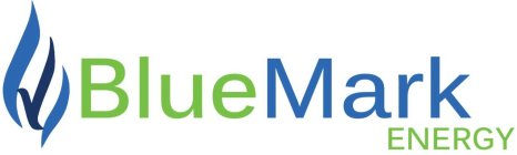 BLUE MARK ENERGY