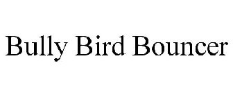 BULLY BIRD BOUNCER