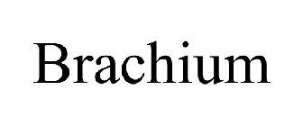 BRACHIUM