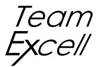 TEAM EXCELL