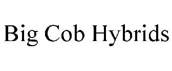 BIG COB HYBRIDS