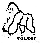 KNOCK OUT CANCER